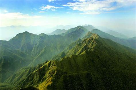 十萬大山|十萬大山國家森林公園 (上思縣)